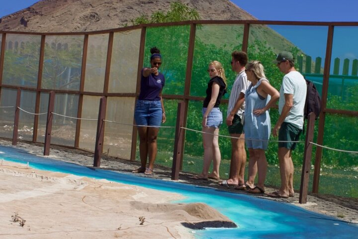 Exclusive Sal Island - Full Day Personalized for You - Photo 1 of 23